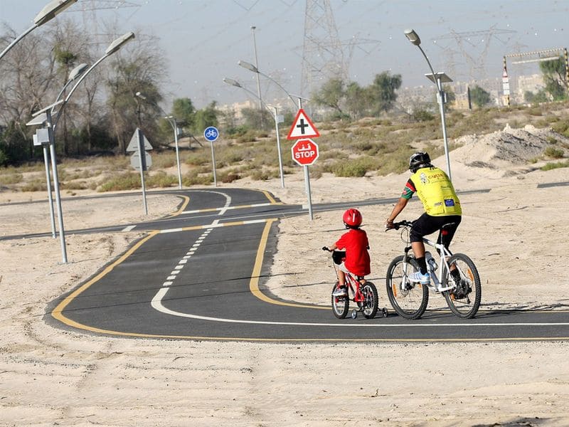 Nad-Al-Sheba-s-cycling-track_18636d28152_original-ratio.jpg